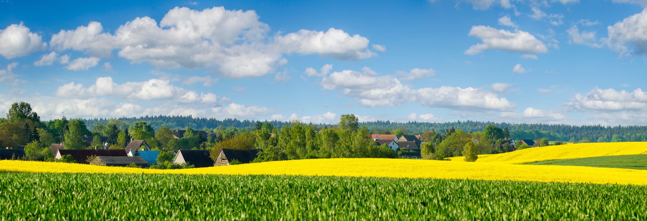 Polska wieś wśród pól — Projekt Agro